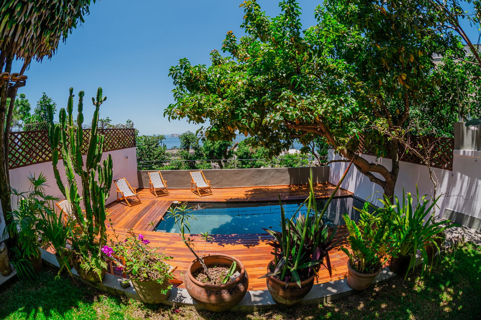 Piscine de Vila Oriba entre cactus, arbre et plantes en pot, mer au loin